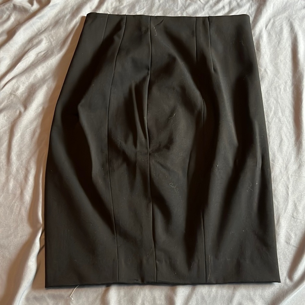 Express Pencil Skirt